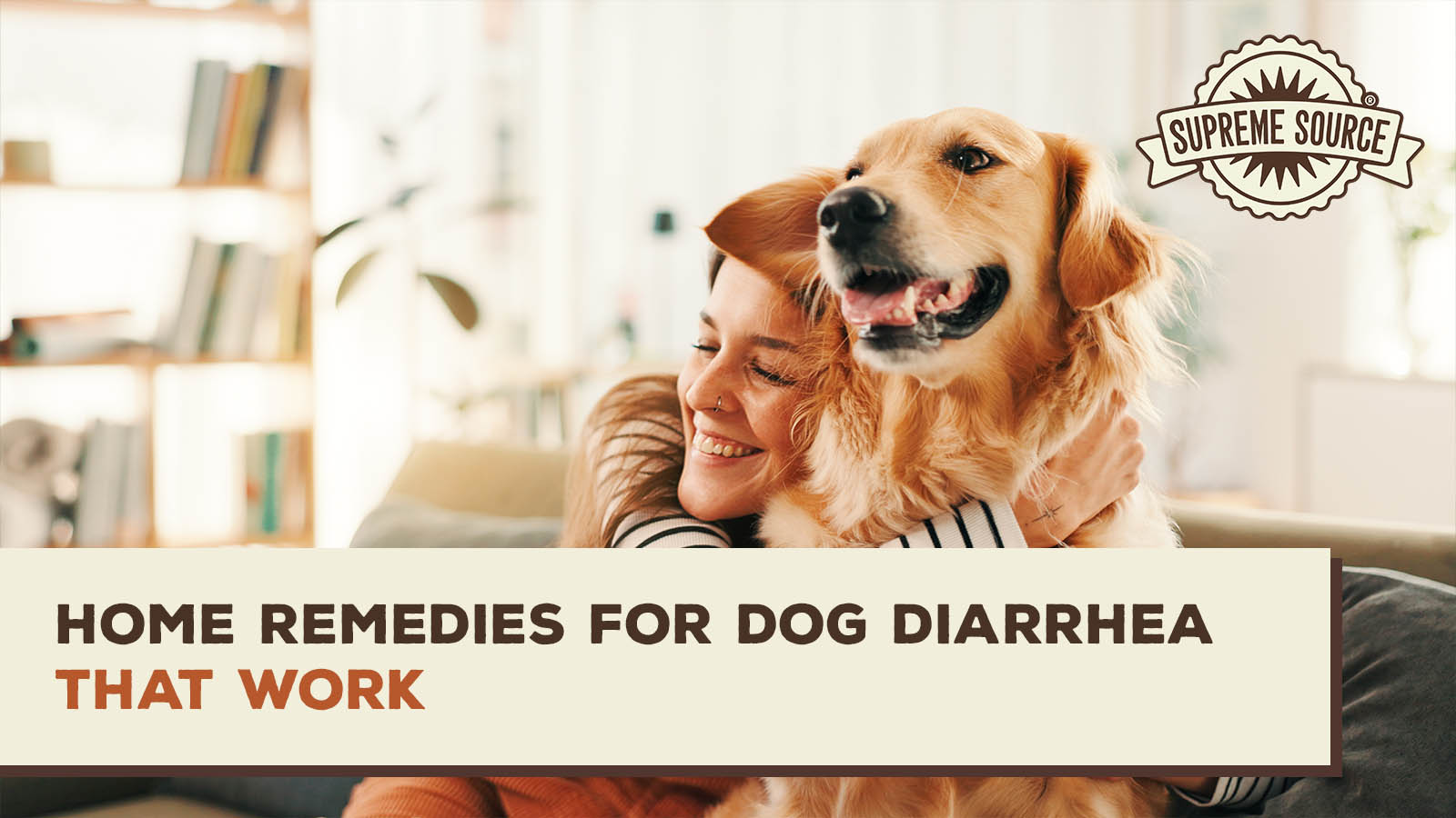 Home Remedies for Dog Diarrhea That Work
