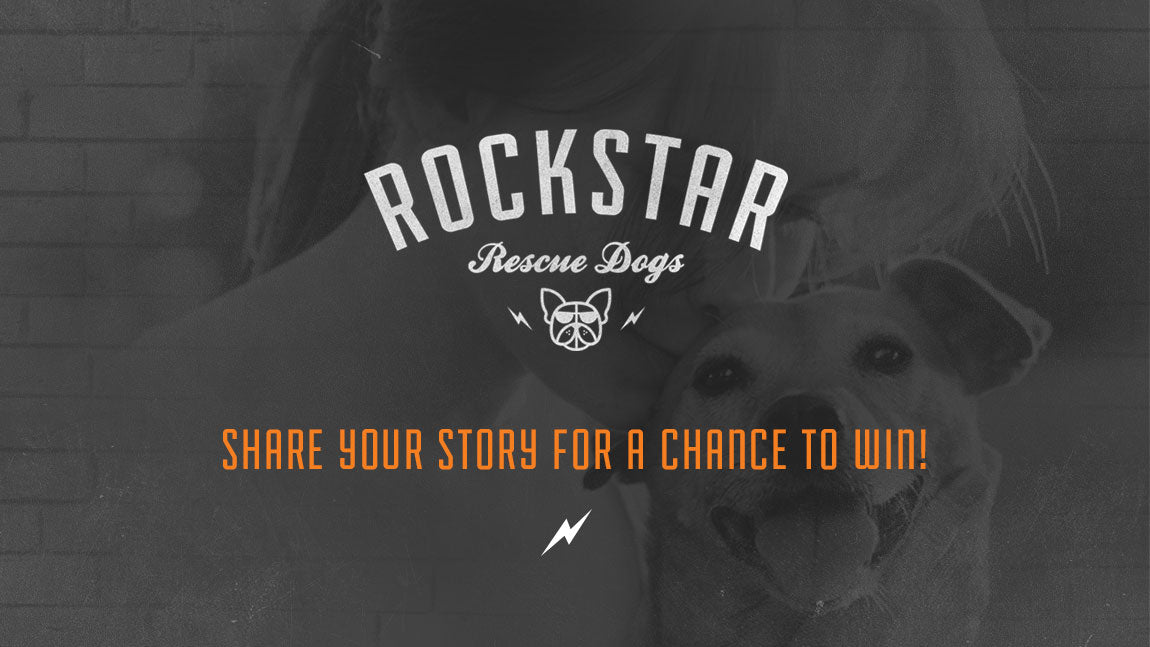 Is Your Dog a Rock Star Rescue Dog?