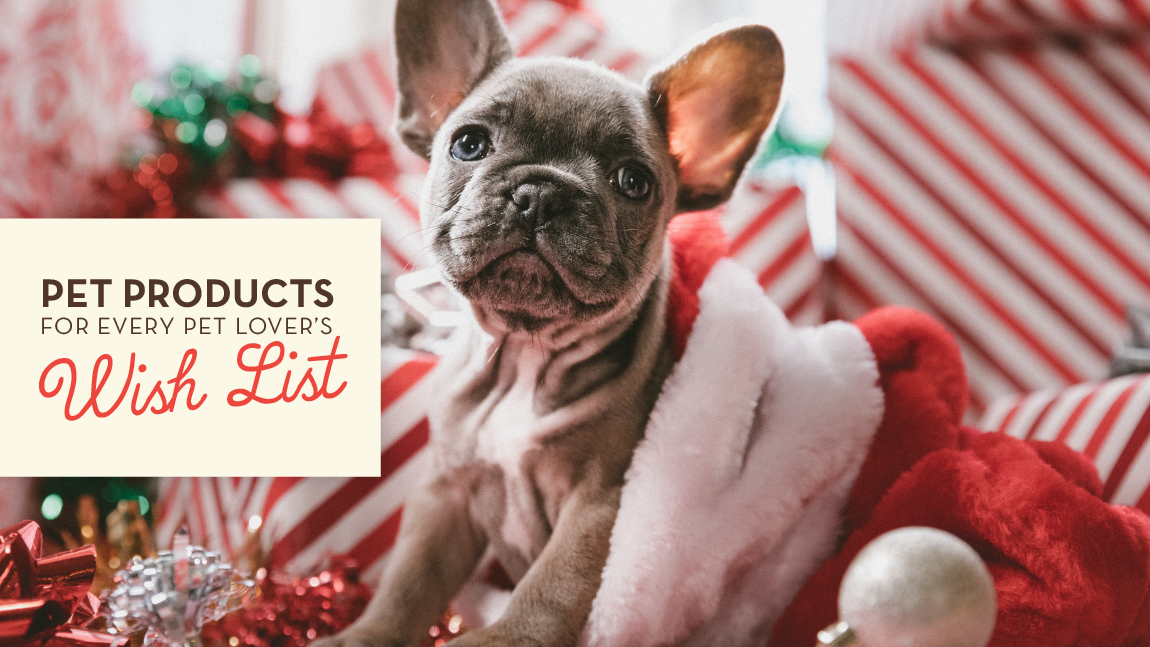 Pet Products for Every Pet Lover’s Wish List