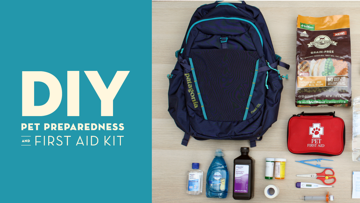 DIY Pet Preparedness and First Aid Kit
