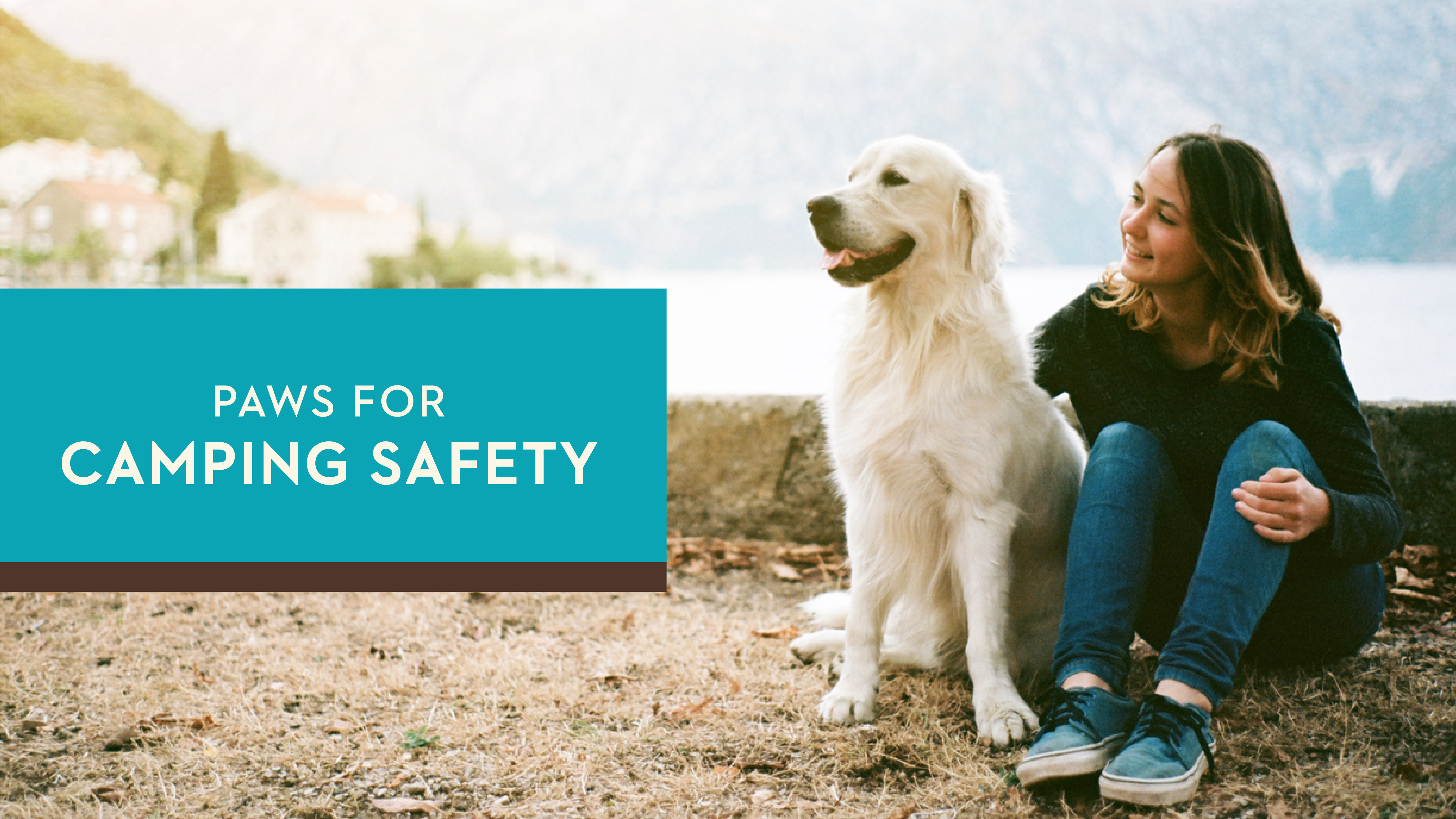 Camping with Dogs: Safety Tips for Pet Adventures