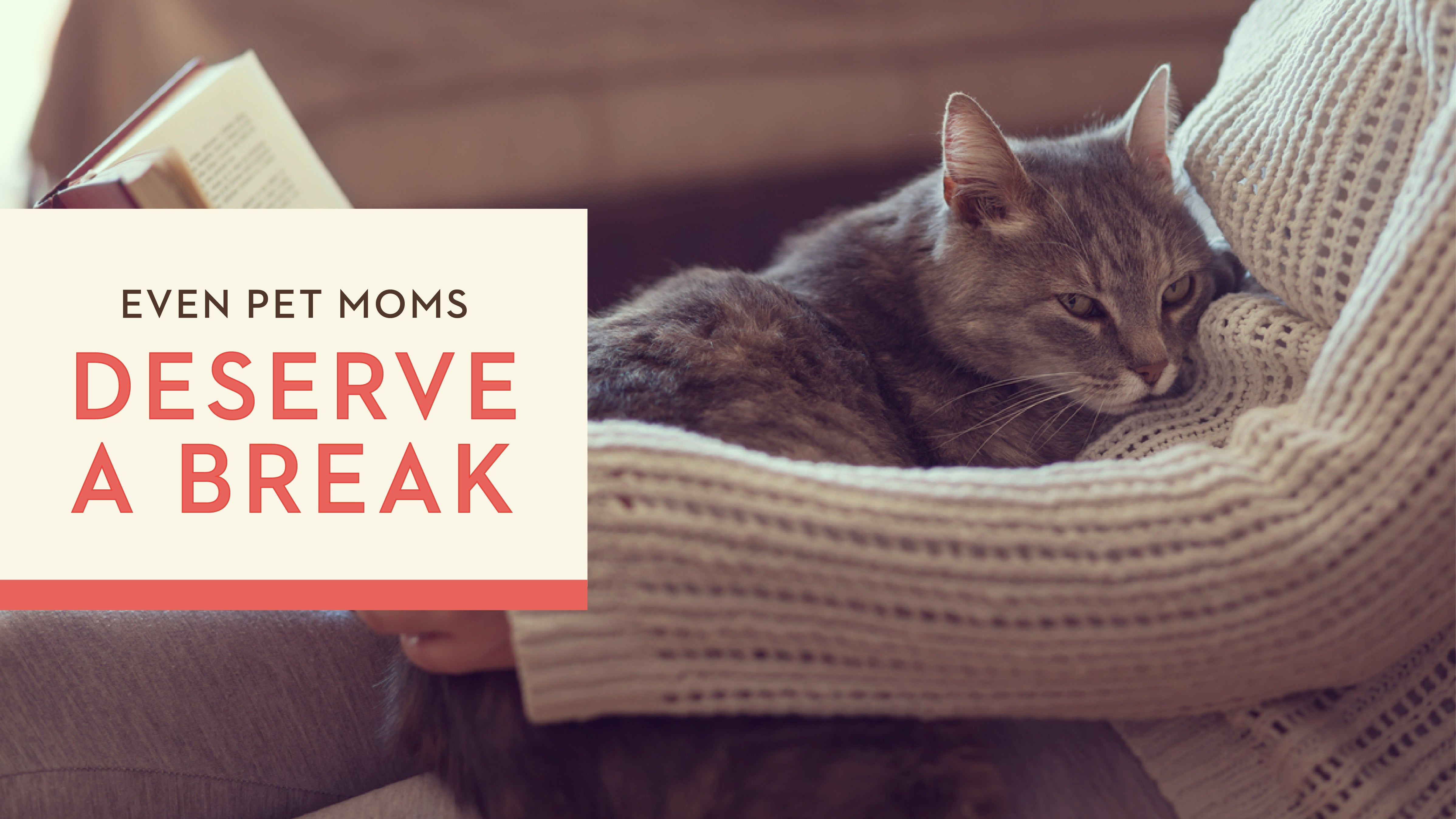 Even Pet Moms Deserve a Break