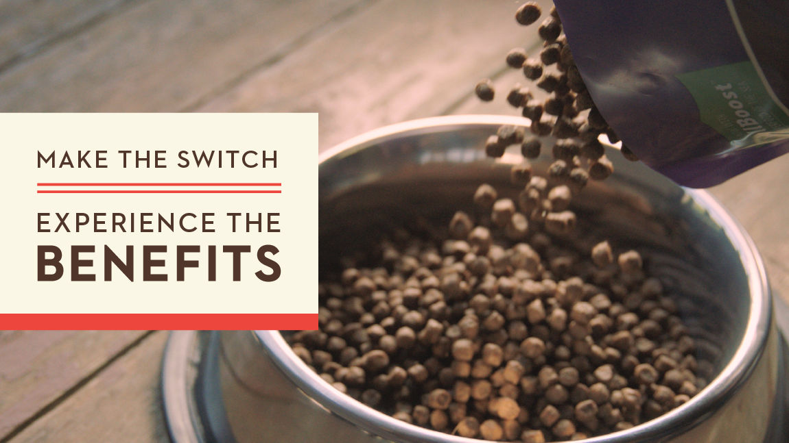 Make the Switch, Experience the Benefits