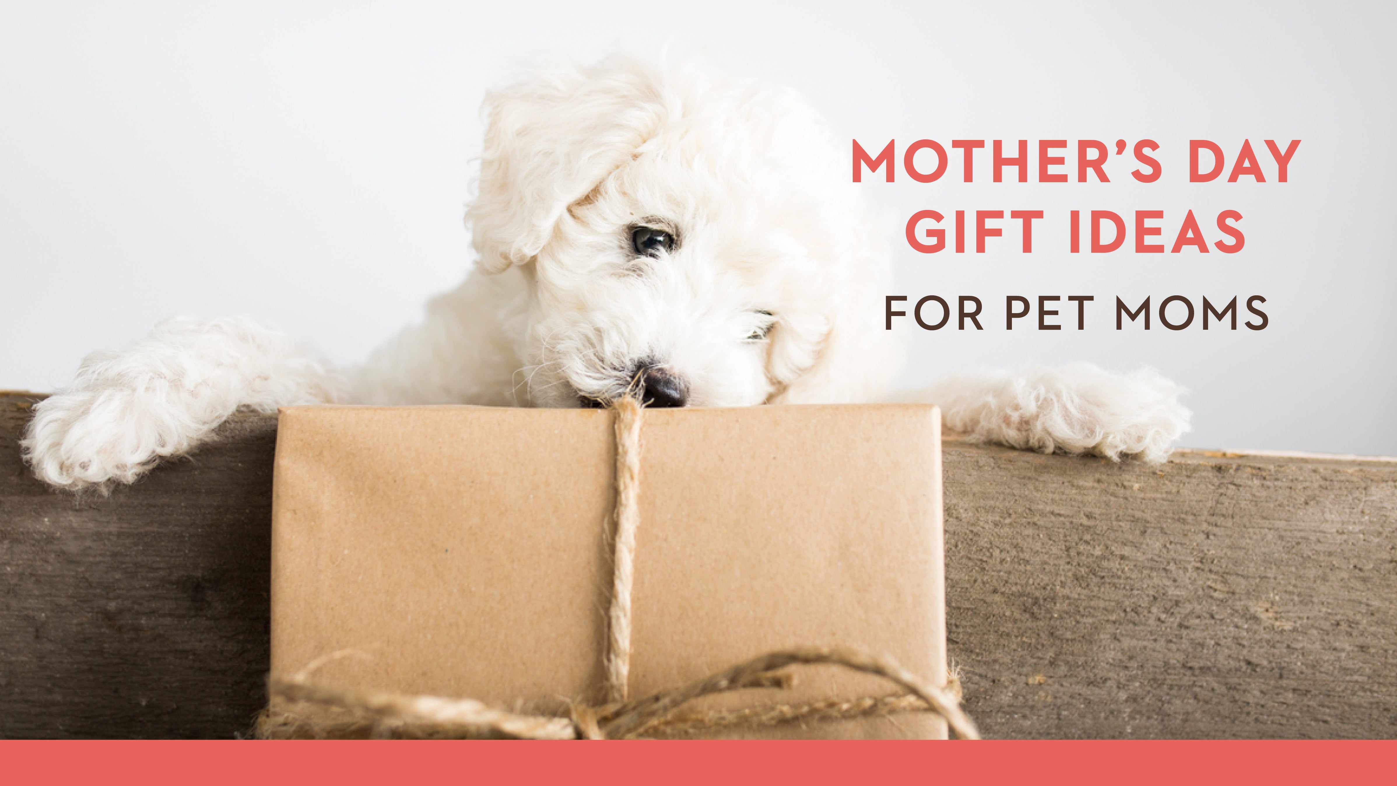 Mother’s Day Gifts for Pet Moms