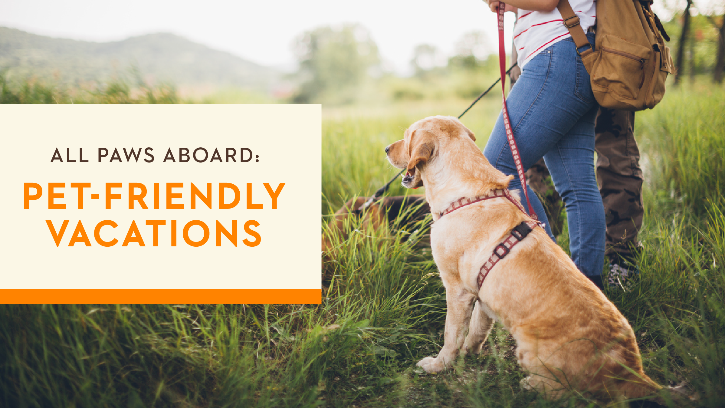 All Paws Aboard: Pet-Friendly Vacations
