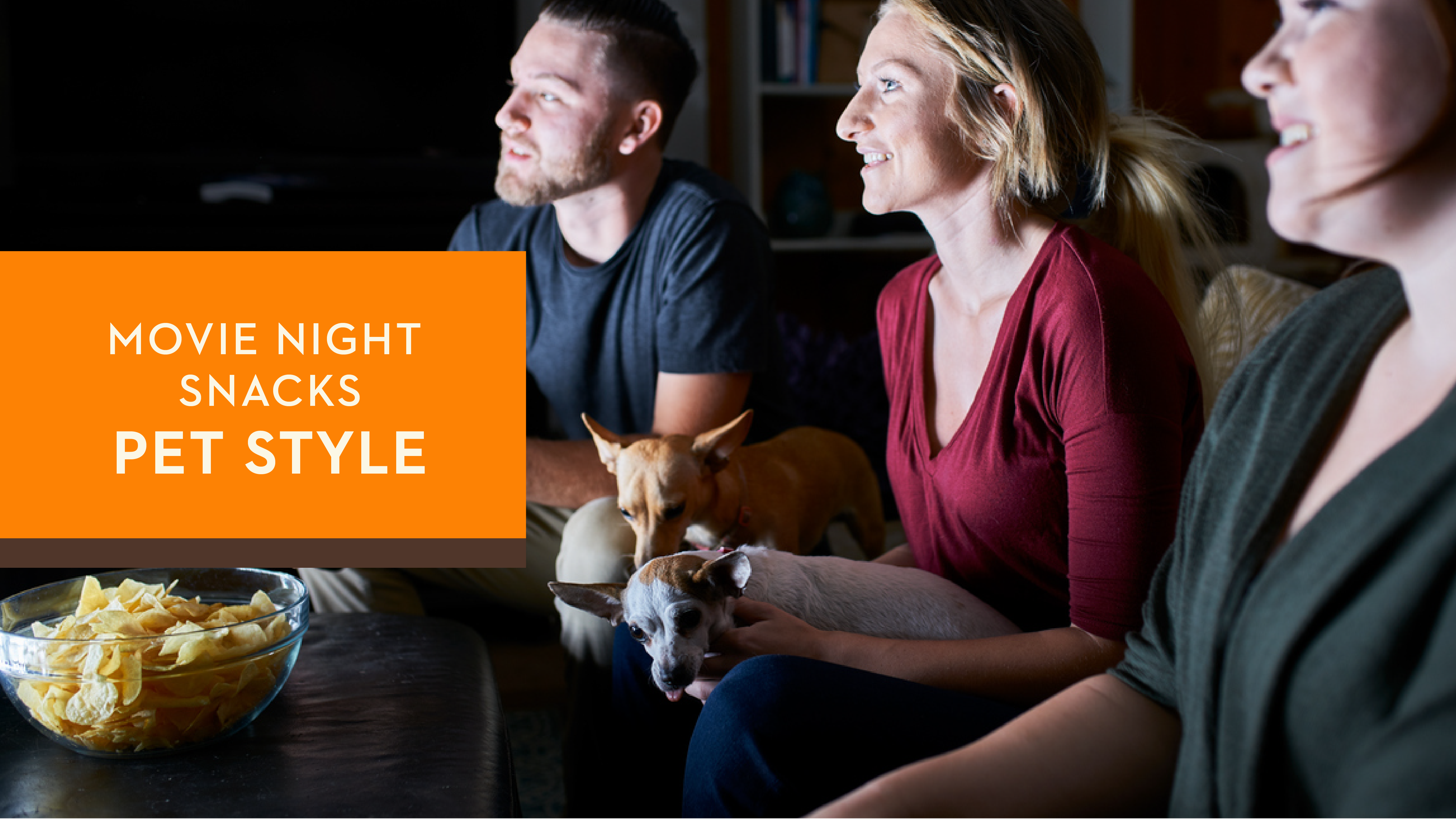 Movie Night Snacks - Pet Style
