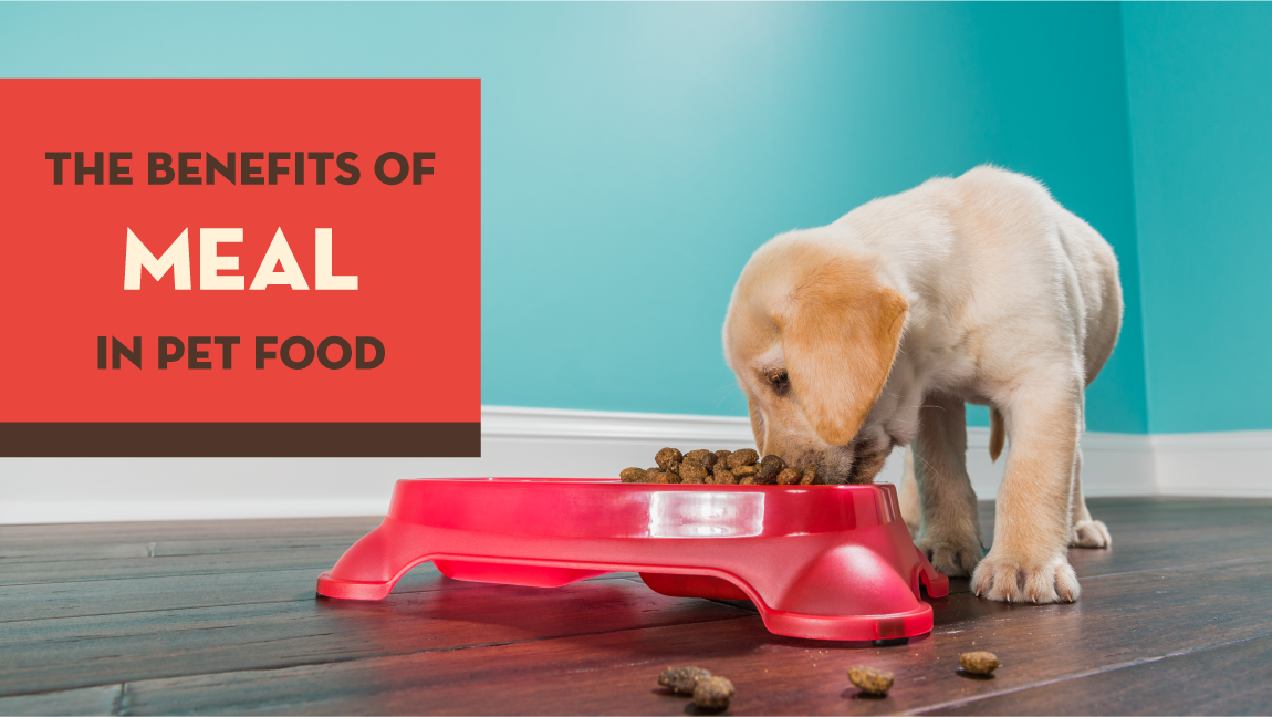 Benefits of Meal in Pet Food