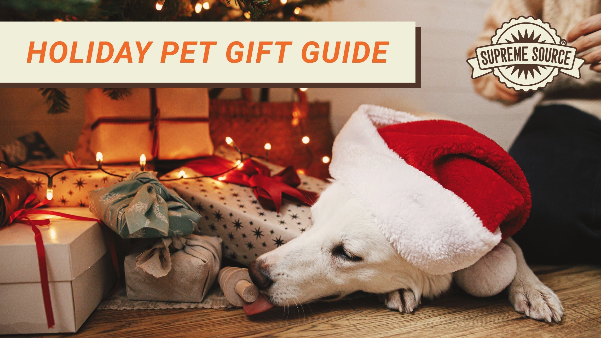 2024 Holiday Gift Guide for Pets