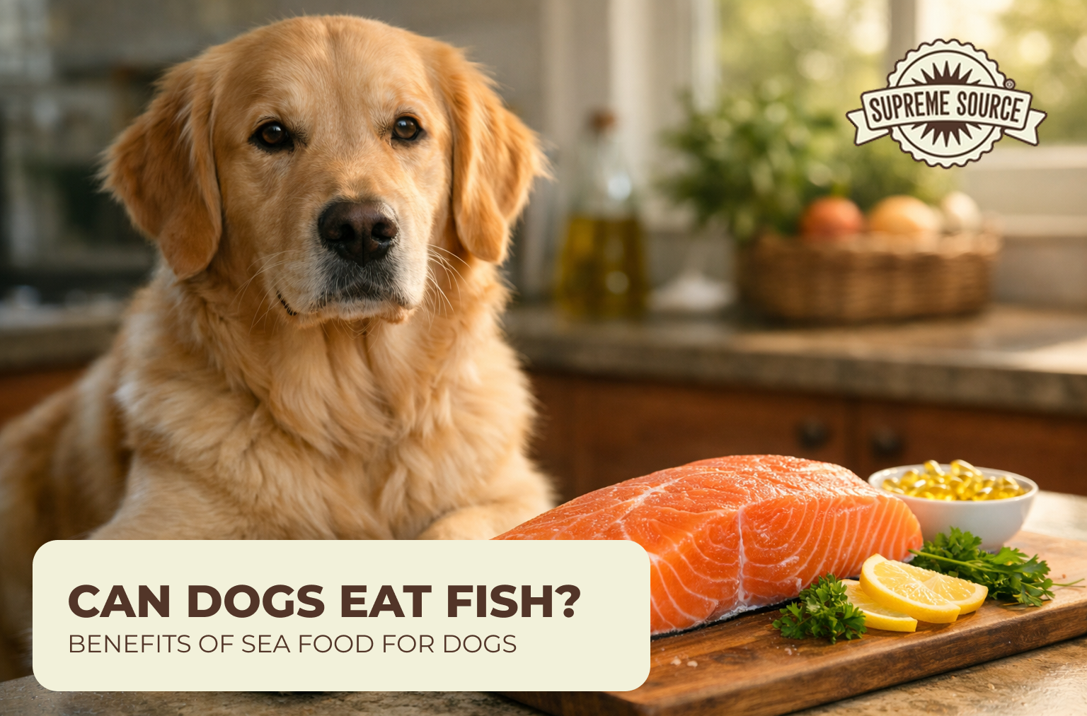Can Dogs Eat Fish? | Benefits of Sea Food for Dogs