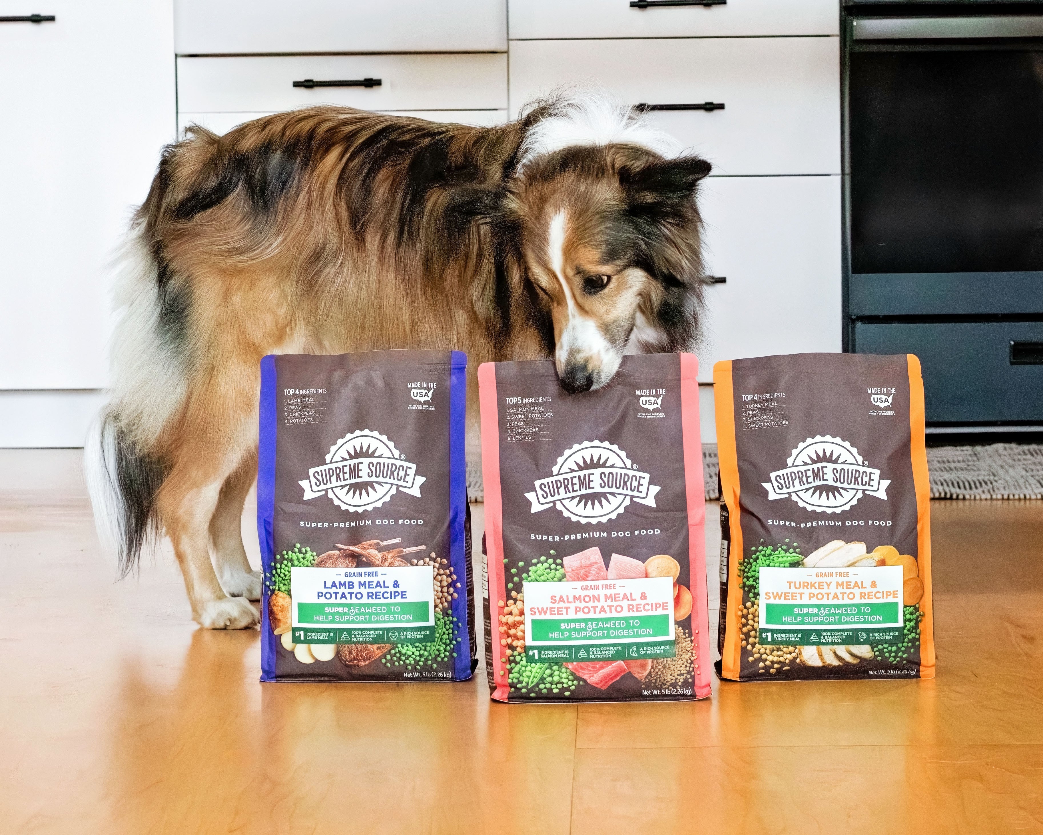 Best Budget Grain-Free Dog Food Brands Compared