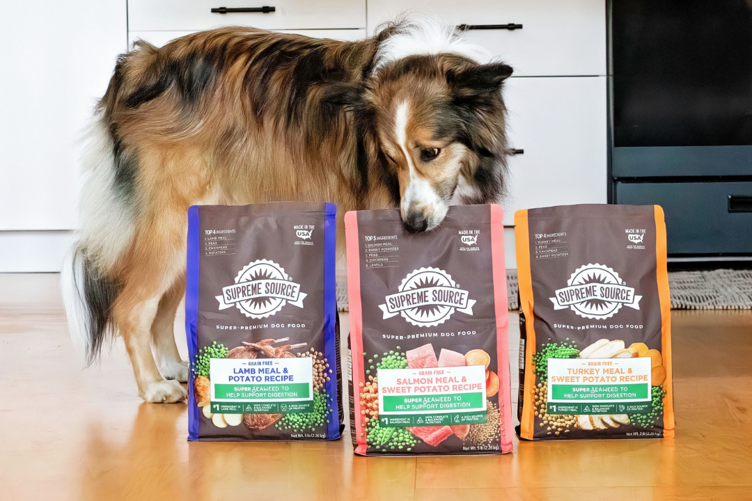 Best Dog Foods for Sensitive Stomachs Compared