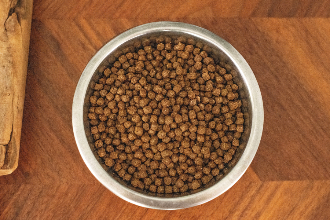 Affordable Limited Ingredient Dog Foods Compared
