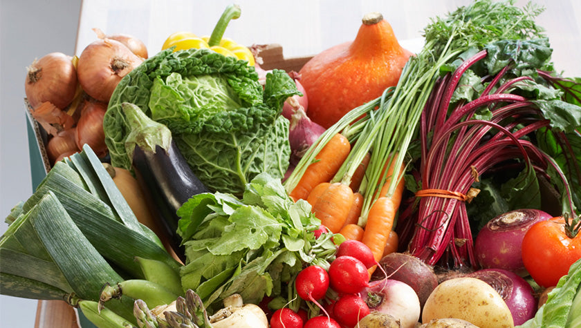 Fruits and Vegetables for Dogs