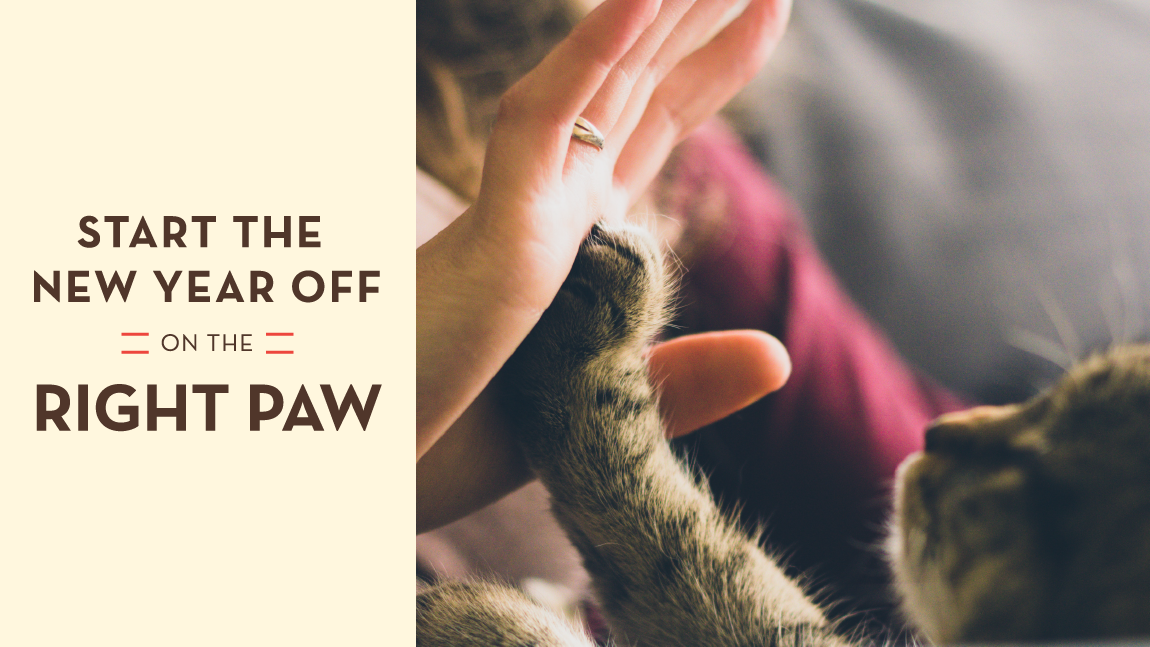 Start the New Year Off on the Right Paw