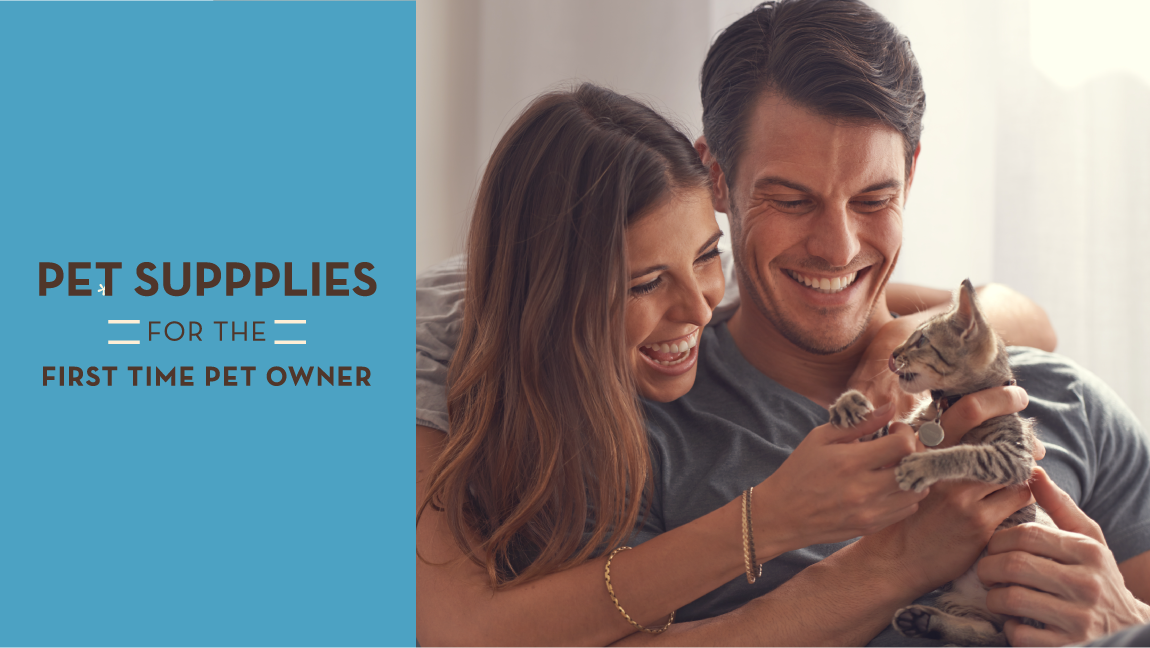 Pet Supplies for the First Time Pet Owner
