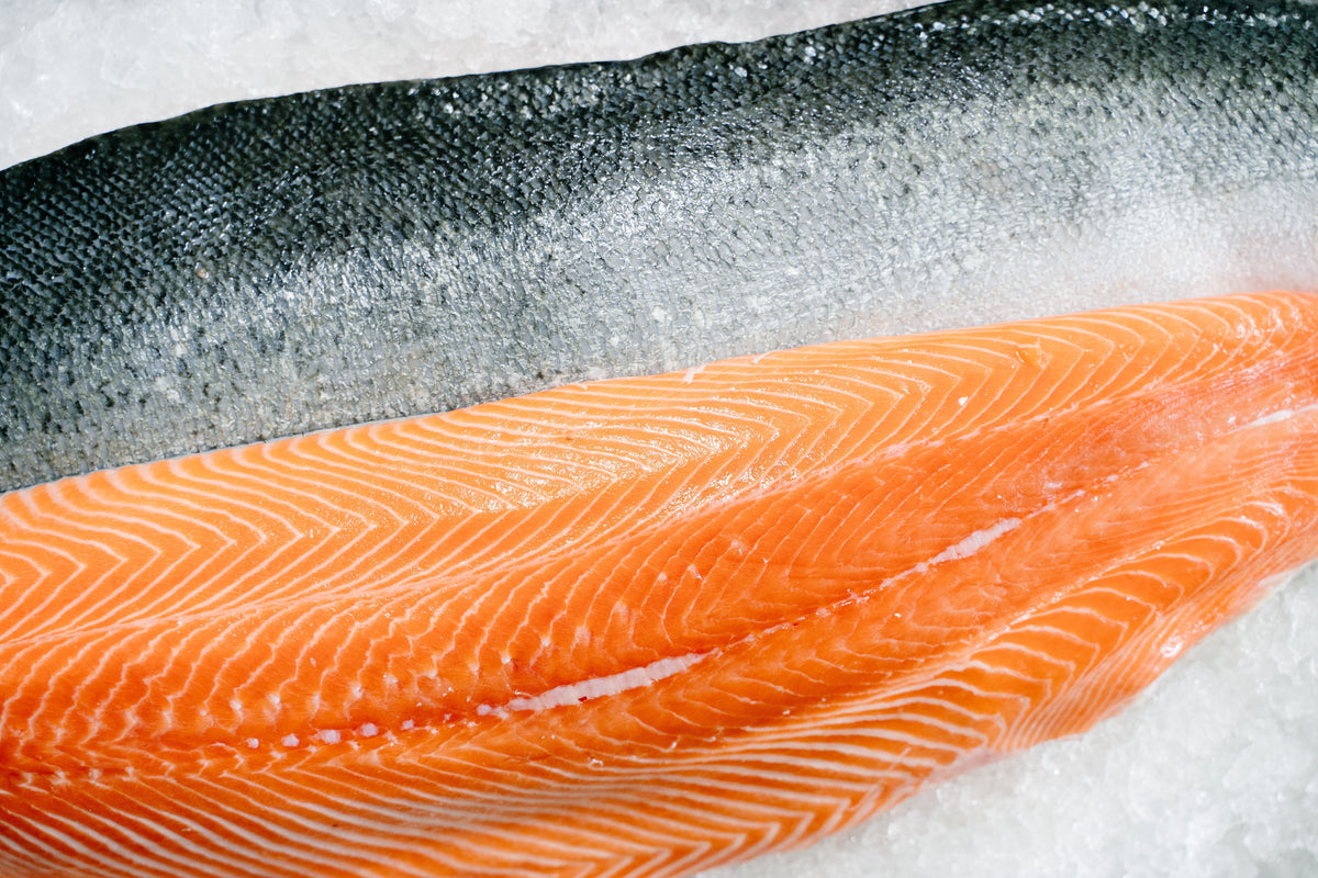 Best Salmon Dog Food for Skin and Coat Compared