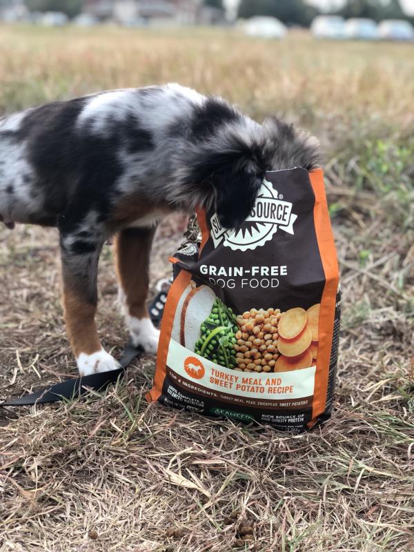 Dog standing next to a bag of Grain-Free Dog Food in an outdoor setting