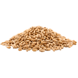 Barley