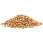 Barley