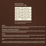 Turkey Meal & Sweet Potato Recipe Dog Food