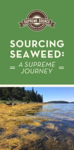 Feeding your pet Supreme Source with seaweed means feeding your pet prebiotics, antioxidants, fiber and more. Seaweed packs a ton of benefits, like helps with digestive sensitivity, boost health and longevity, maintain intestinal health and support overall immune system.