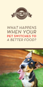  Switching your pet's food to a grain-free alternative can be tough. Be sure to first consult your veterinarian about the best food for your pet and how to properly switch. 
