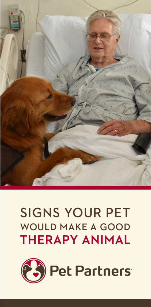 Do you think your animal could be a good therapy pet? Check out these signs to see if you and your pet can work with Pet Partners to help others.