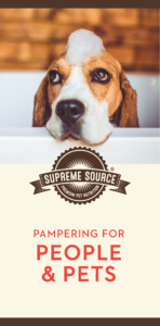 These fun ways to pamper both you and your pet can make for a great day of bonding.