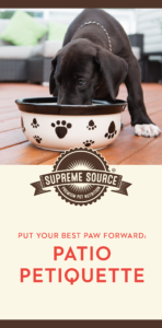 Check out these tips and tricks to help your cat or dog put their best paw forward.