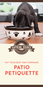 Check out these tips and tricks to help your cat or dog put their best paw forward.