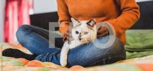 cat owner