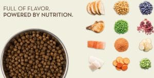 Full of flavor. Powered by nutrition.