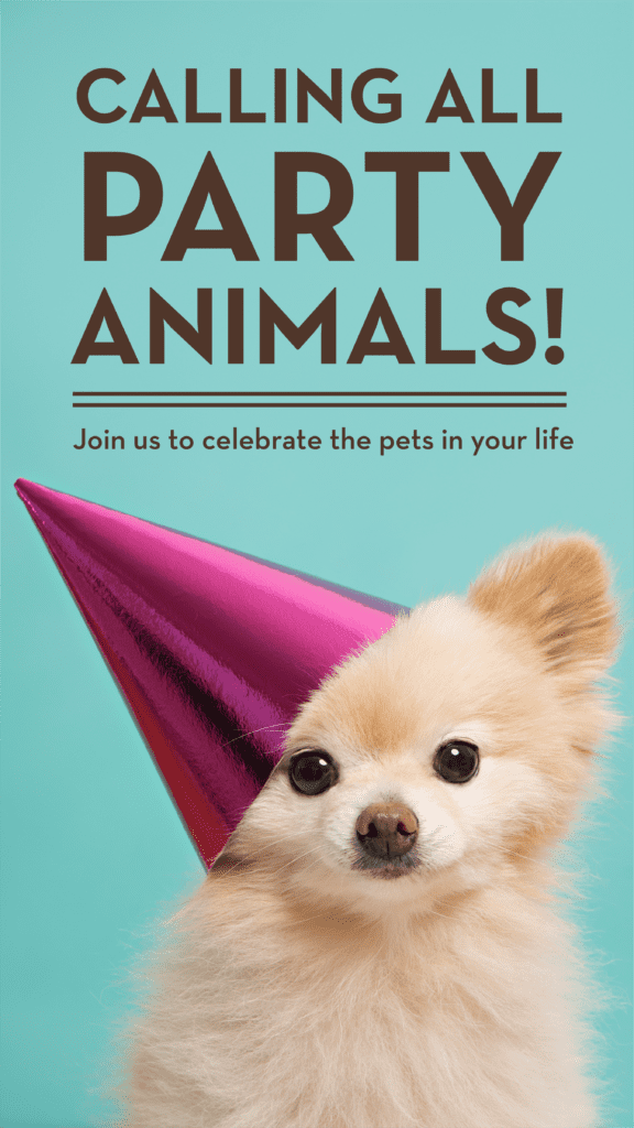 Calling all party animals! Join us to celebrate the pets in your life. 