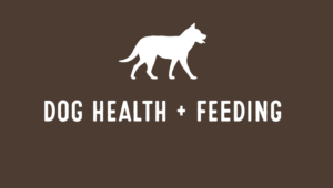 Dog Health and Feeding