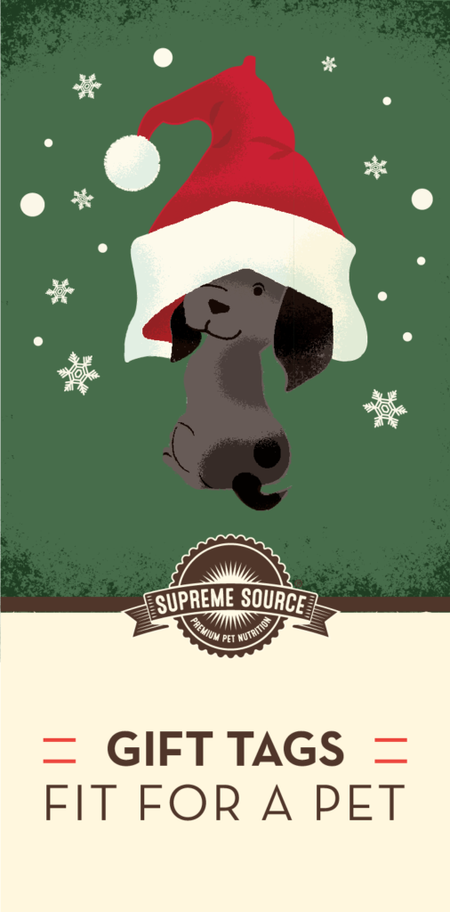 Download our festive pet gift tags to tack onto your pet’s present this year! Remember, a little something extra goes a long way.
