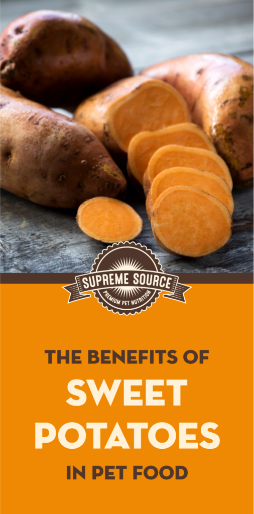 Sweet potatoes can often be found in a number of healthy recipes for humans, but did you know they have benefits for pets as well?
