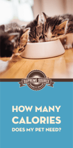 While caloric needs vary by breed and size, there are things you can keep in mind to better understand just how many calories your pet needs.
