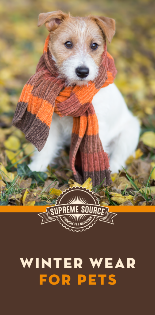 There are a number of products that serve to keep your pet warm even on the coldest of days. Check out this list of winter wear for pets. 